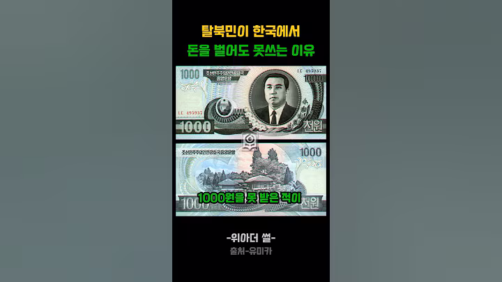 탈북민이 한국에서 돈을 벌어도 펑펑 못 쓰는 이유