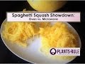 Spaghetti squash showdown microwave cooking vs oven roasting from plantsrule
