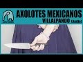 AXOLOTES MEXICANOS - Villalpando [Audio]