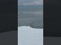 Swan on the sea frost winter #youtubeshorts #youtube #snow #youtuber