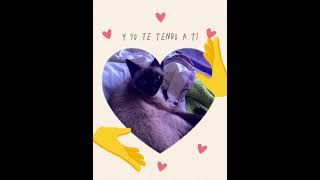 26 De Agosto De 2025