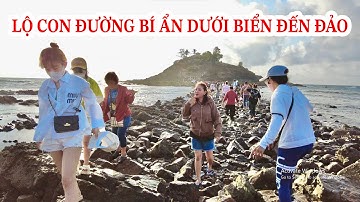 Con đường bí ẩn dưới biển đưa đến Đảo Hòn Bà