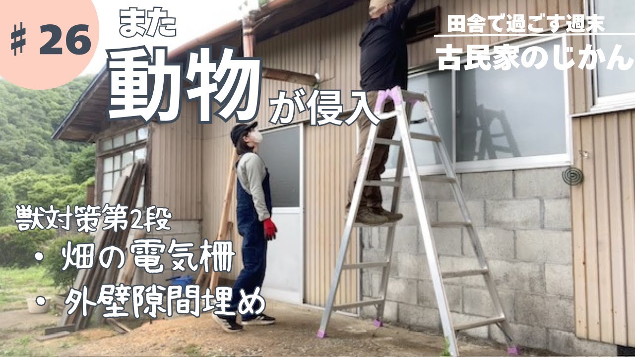 田舎暮らし♯026／獣対策2！また野生動物が家の中に入ってきた！隙間塞ぎと畑の電気柵の設置