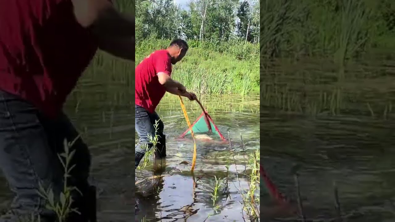Fishing In Mohe The Northeast Joy Of Outdoor Wild Experiencex 441