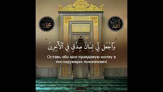 Чтец: Ясир Ад-Даусари Сура 26 Аш-Шуара (Поэты) аяты 78-87 Красивое чтение Корана!