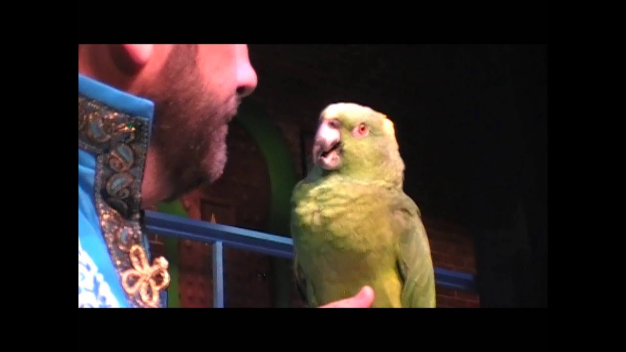 busch-gardens-pass-membership-appreciation-event-pantopia-theater