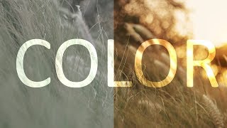 COLOR for your video