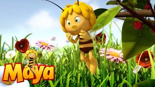 Judge Beeswax - Maya the Bee - Episode 7