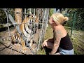 Support, Volunteer and Visit Kowiachobee Animal Preserve in Naples, FL