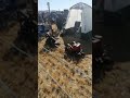 The Great Dorset Steam Fair 2022 - 32