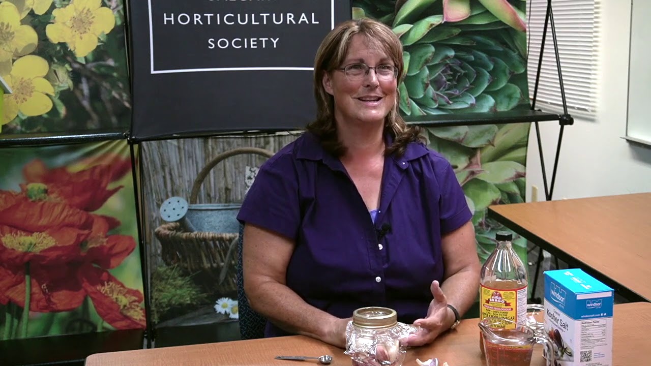Lacto Fermenting and Roasting Garlic by Elaine Rude - YouTube