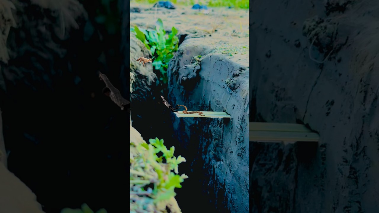 creative videography tutorial 