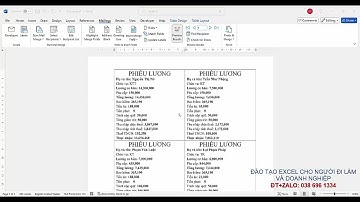 Hướng dẫn cách dùng Mailmerge nhiều phiếu lương trong trang in
