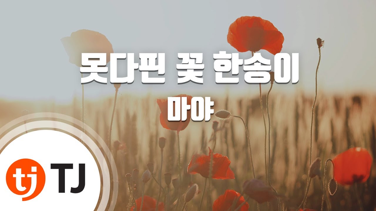 [TJ노래방] 못다핀꽃한송이 - 마야(MAYA) / TJ Karaoke