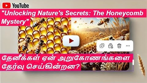 "The Science of Bee Honeycombs: Unveiling the Geometric Genius of Hexagonal Structures"