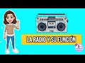 La Radio Estructura Función Características