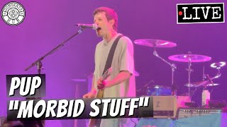 PUP "Morbid Stuff" LIVE