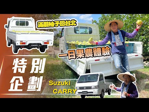 【七叔-Vlog】Suzuki Carry ｜打工換柚初體驗 滿載而歸！【7Car小七車觀點】