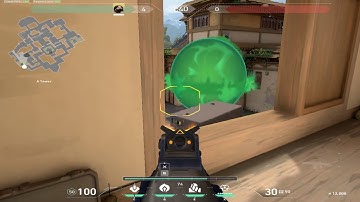 Viper - Smoke (One-way) - Haven - Top A Short