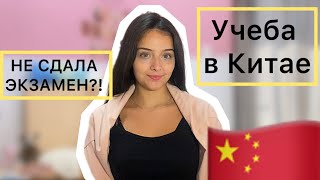 видео: УЧЕБА В КИТАЕ 📚|| расписание, экзамены, HZNU картинка: УЧЕБА В КИТАЕ 📚|| расписание, экзамены, HZNU