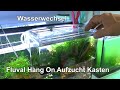 Fluval Hang On Kasten für die Aufzucht und Wasserwechsel im Film bei den Caridina Zwerggarnelen