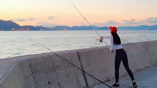 먹물이 가~득한 곳에서 원투 낚시를 했더니?! Beautiful night view and surf fishing in Korea.