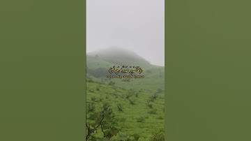 قرآن كريم #قرآن #religion #explore #quran #nature #reels