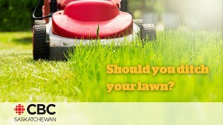 Is it time to get rid of your lawn? But what would you do with it instead...