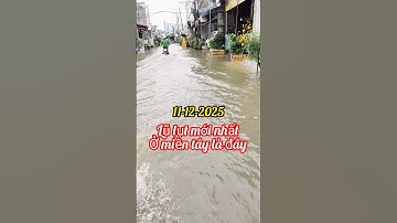 Miền tây lũ vẫn còn ngập. lũ lụt miền tây #shorts  Thanh Tâm Official