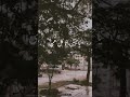 حاله واتس اغنيه يا وحشني تامر حسني حاله واتس اغنيه يا وحشني تامر حسني