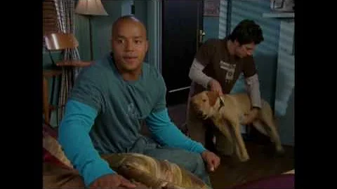 Scrubs (2004)