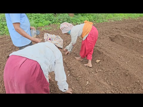 Video: Hvem er VET-ingeniør: plikter og rettigheter til en spesialist