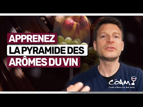 Vidéo: D'où viennent les saveurs du vin ?