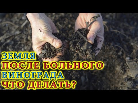 Что делать с
