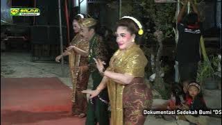 TARI SRAMPAT // ZEW MARGO LARAS // Sedekah Bumi - Dsn. Babad Kulon Ds. Babad Kec. Kedungadem.