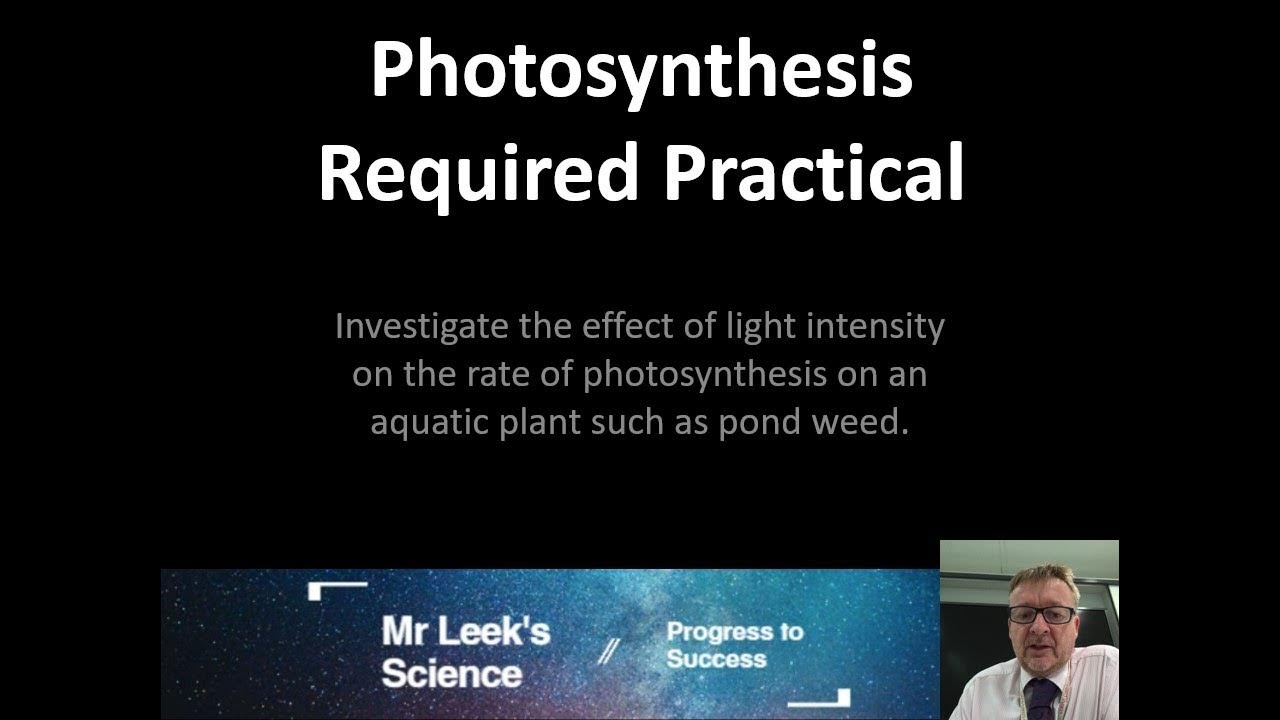 10 Photosynthesis Required Practical AQA GCSE Biology YouTube