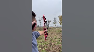 5-Pin Sight Accuracy Test | Steel Balls vs Arrows 💥#dualusebow #5pinsight #archerytest #steelball