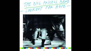 Bill Frisell - Lookout For Hope