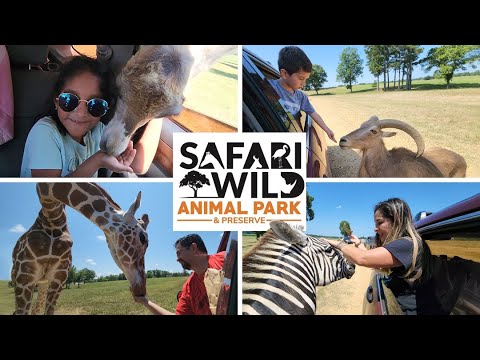 safari wild animal park como mississippi