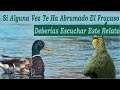 El Pato y El Ave Tejedora - Reflexiones Para El Éxito