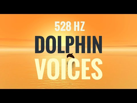 528 Hz Frequency