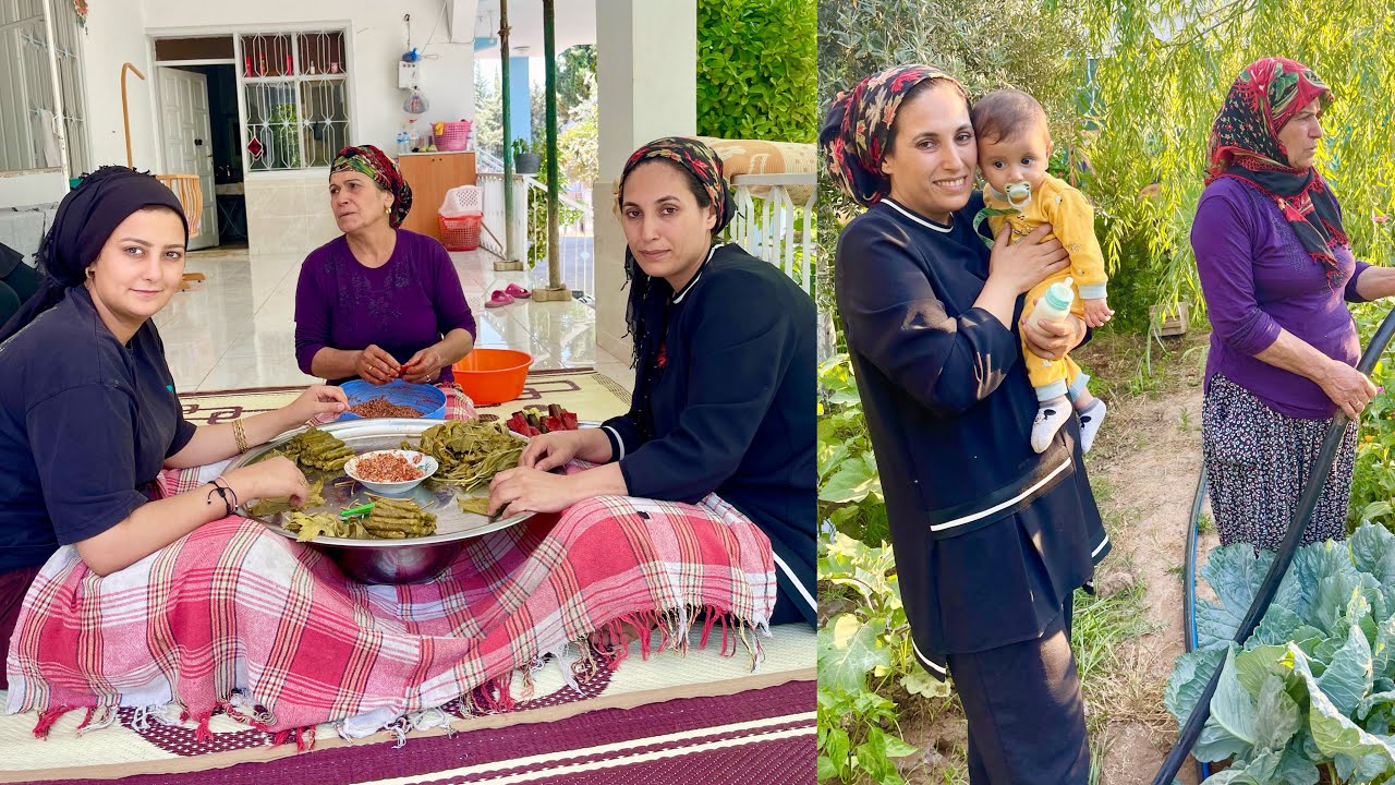 ABLAM GELDİ ???? ANNEM’İN MUTLU GÜNÜ ~ TAZE YAPRAK SARMASI EN LEZZETLİ YEMEK Köy Evi