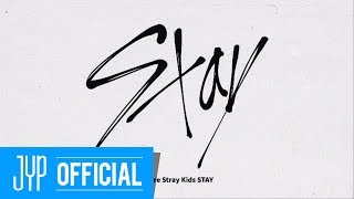 Stray Kids FANDOM NAME 'STAY'