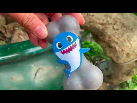 Play fun  toys 1312 3 vd