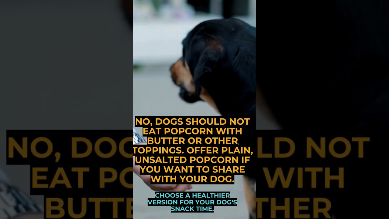 Can dogs Eat Popcorn with Butter? 