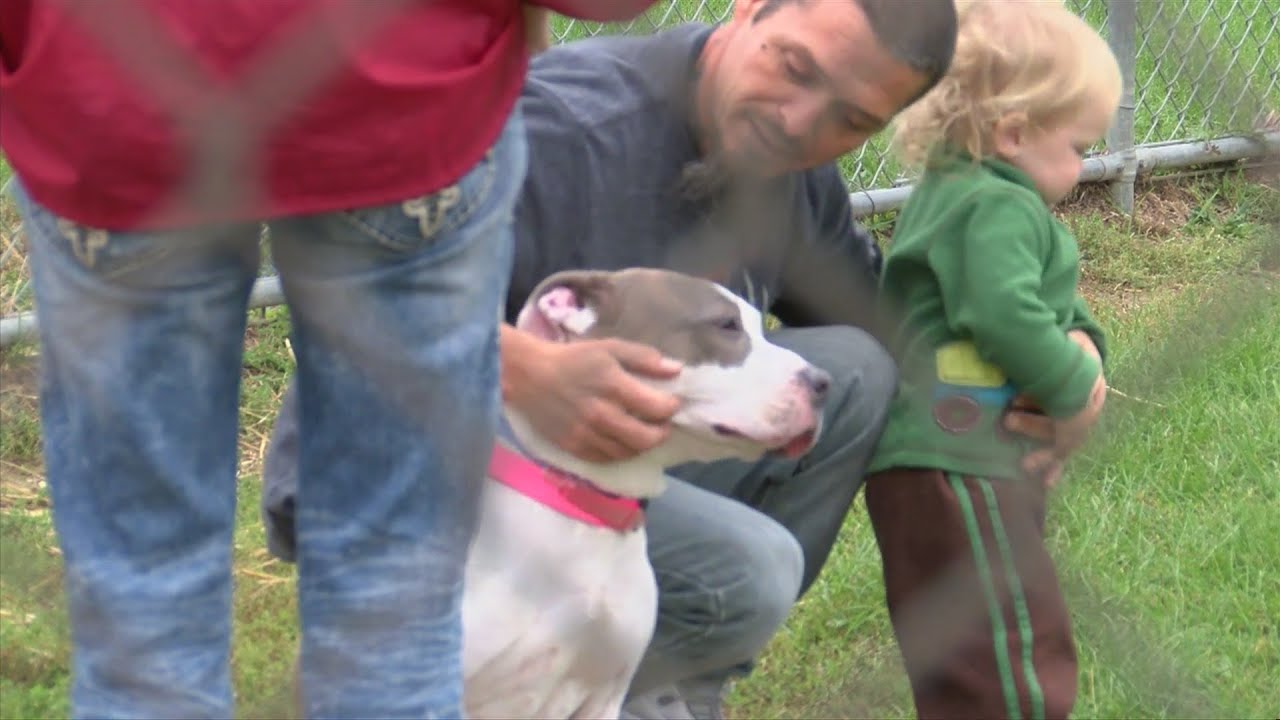 Free adoption event a success for Winnebago County Animal Shelter YouTube