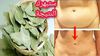 معجزة ورق الغار ستجعل بطنك مسطحا في 5 أيام يذيب الكرش و شحوم الجوانب نهائيا بدون رجيم او تمارين