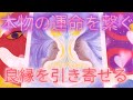 聞き流すだけで貴方の運命の相手を引き寄せる動画🐲🌞🌝🌠