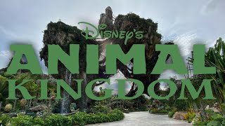 First Day at Disneys Animal Kingdom
Disneys Animal Kingdom Opened Its Gates Again For The Public, And This Is How The Day Went !
#DisneyParks
#WaltDisneyWorld
#AnimalKingdom First Day at Disneys Animal Kingdom
