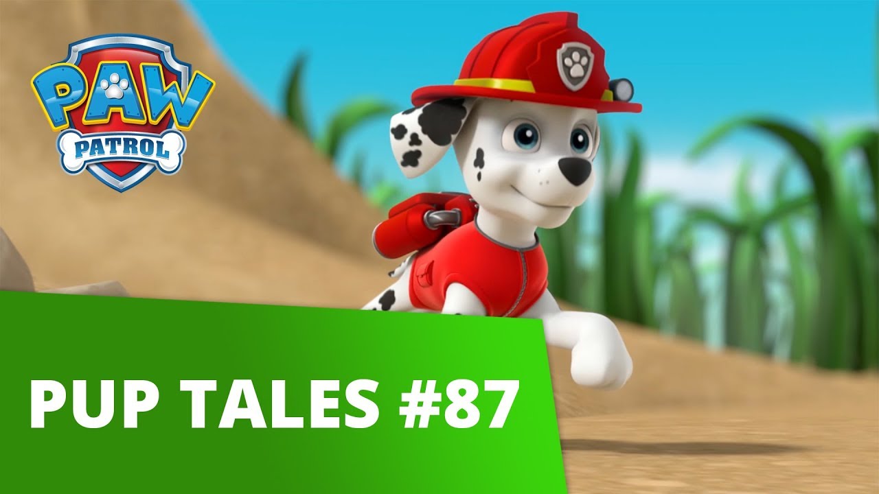 PAW Patrol | Pups Save Tiny Marshall | Rescue Episode | PAW Patrol Official & Friends!